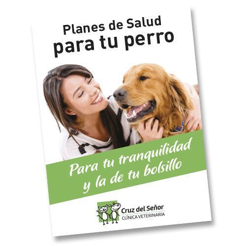 Logotipo horizontal en cartel